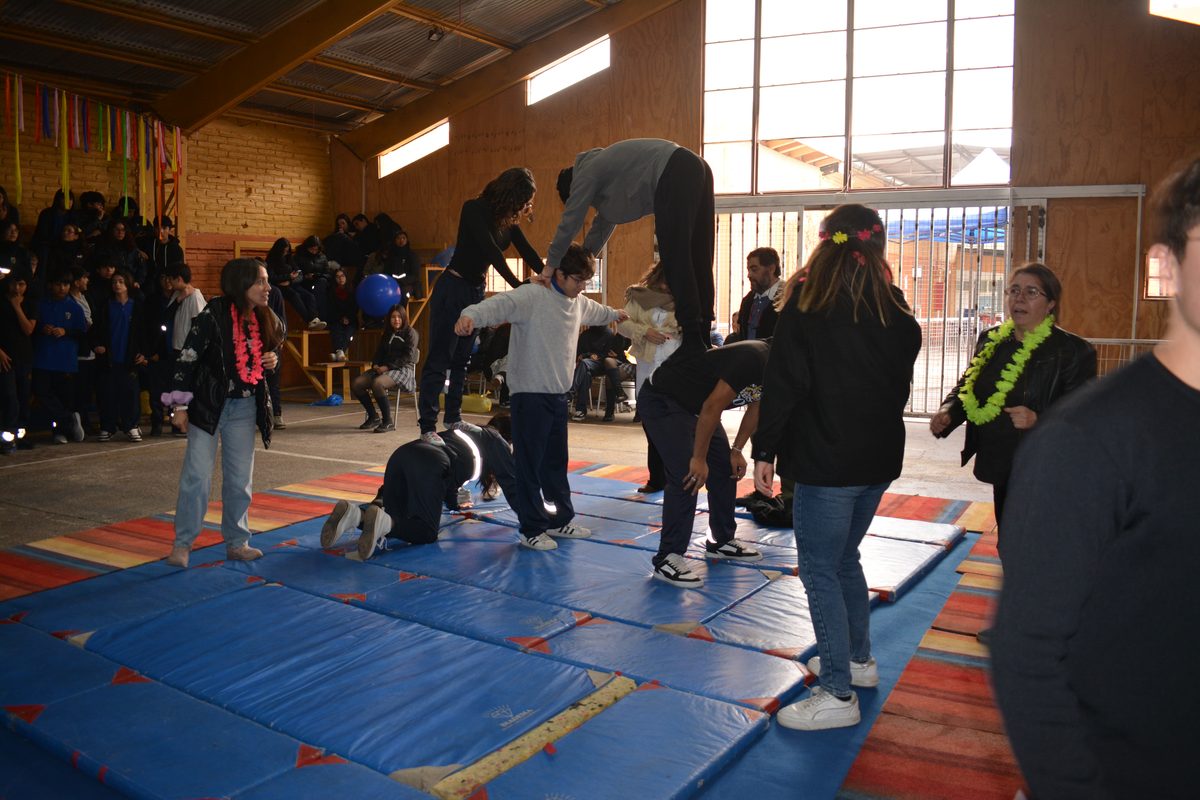 Actividad recreativa en el gimnasio del colegio